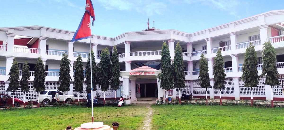 मधेसमा हिन्दी र अङ्ग्रेजीसहित ६ ‘कामकाजी भाषा’को प्रस्ताव, थारू नसमेटिएकोमा आपत्ति