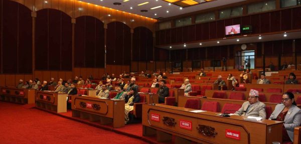 राष्ट्रियसभामा सांसदहरूले उठाए कर्मचारीमाथि कुटपिटदेखि प्रकृति लम्सालको मृत्युसम्मका विषय