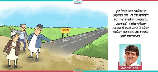 प्रगतिशील उदार अर्थतन्त्र, दिगो विकास मोडेल