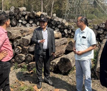 बारा–ढल्केबर खण्ड निर्माण सम्पन्न, १३२ केभी सञ्चालनमा