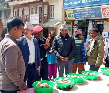 जुम्लामा आलु प्रदर्शनी मेला
