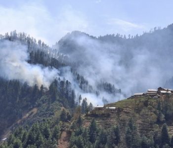 गोरखनाथ वनमा आइतबार रातिदेखि लागेको डढेलो नियन्त्रण बाहिर
