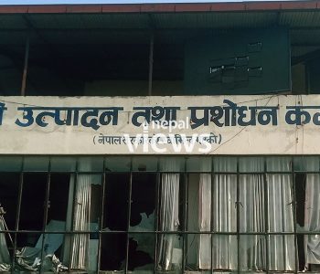 वर्ष २०८१ : स्वास्थ्य क्षेत्रमा उपलब्धि, विवाद र क्षति