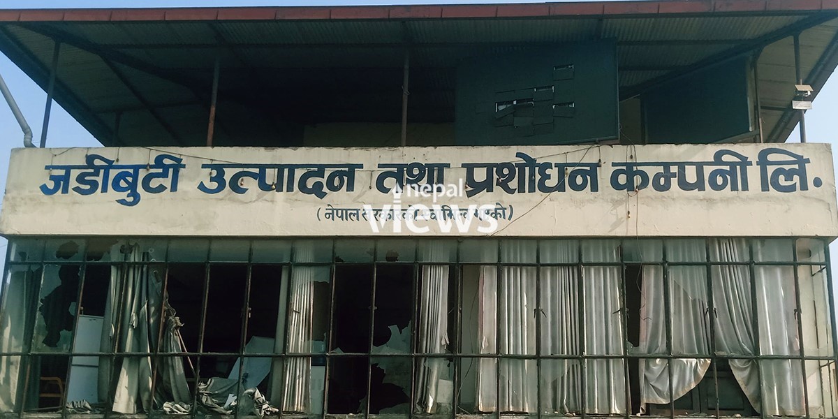 जटिबुटी उत्पादन तथा प्रशोधन केन्द्रमा २८ करोड हाराहारीमा क्षति, तत्काल सञ्चालन गर्न १० करोड आवश्यक