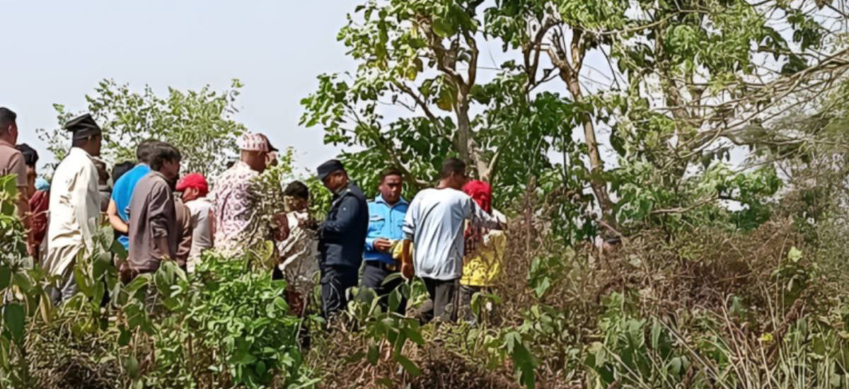 युवा-युवती एउटै रूखमा झुण्डिएको अवस्थामा मृत भेटिए
