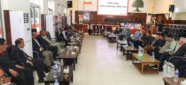 गणतान्त्रिक संविधानको पक्षमा दृढ छौं : नेपाली काङ्ग्रेस