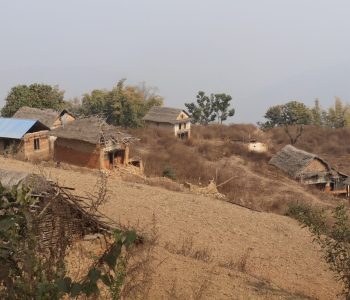 बाँदर आतङ्कले बसाइँसराइ बढ्दा बस्ती नै खण्डहर