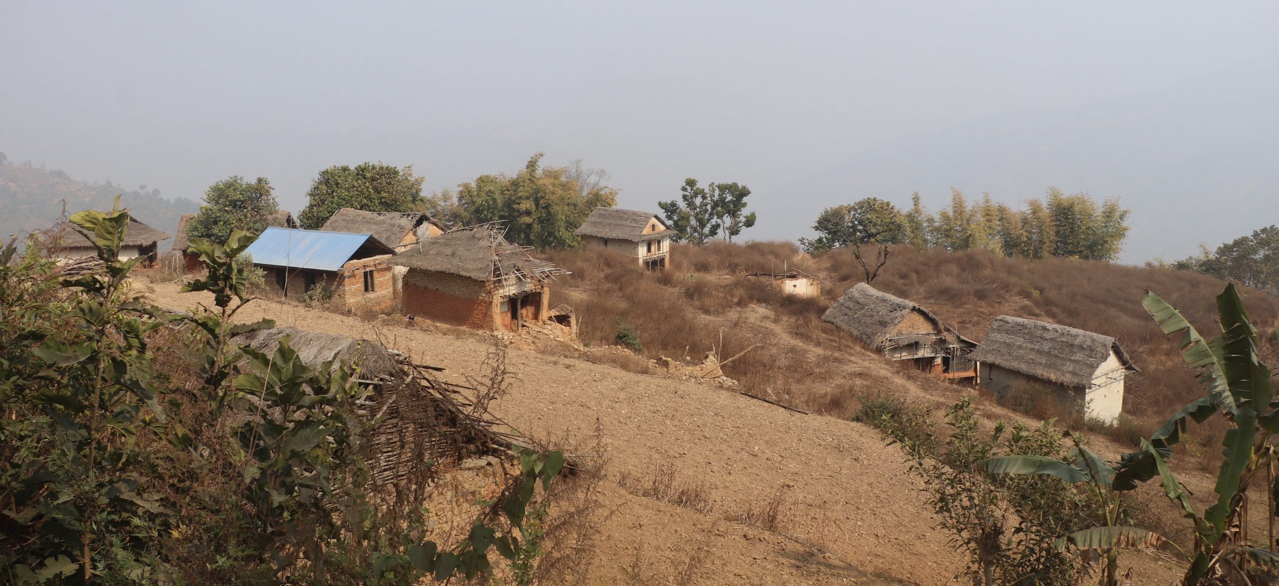 बाँदर आतङ्कले बसाइँसराइ बढ्दा बस्ती नै खण्डहर