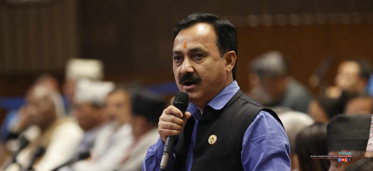 शाहवंशीय राजाहरू संवैधानिक राजा भएर बस्न सक्दैनन् : विश्वप्रकाश