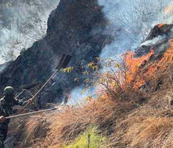 पाल्पामा मङ्गलबारदेखि लागेको डढेलो अझै निभेन, चारवटा सामुदायिक वनमा क्षति