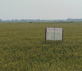 ‘सुपर जोन र जोन कार्यक्रम’ले उत्पादन बढायो