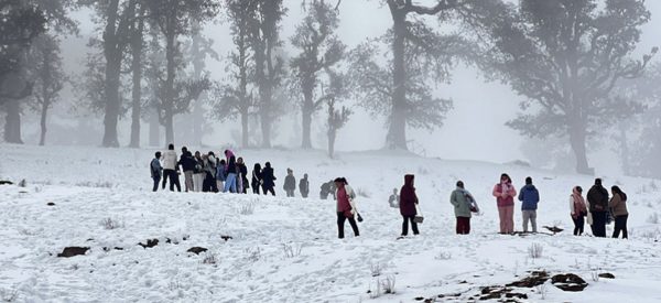 हिमपातका कारण अलपत्र यात्रुको उद्धार