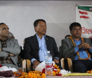 पूर्व विशिष्टलाई सुविधा दिने कानुन पारित हुँदैन : उपप्रधानमन्त्री सिंह