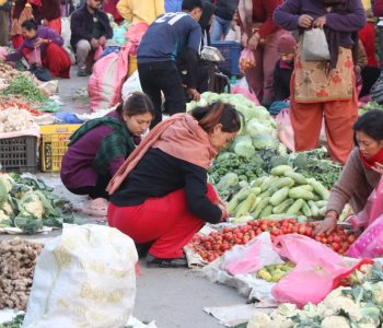 अदुवा प्रतिकिलो १००, रायो साग ४०