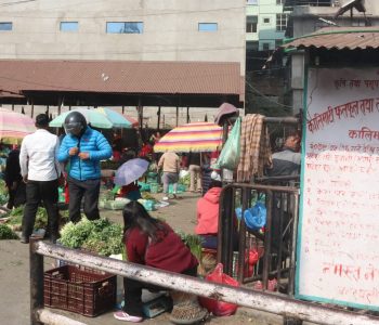 फलफूल र तरकारीको थोक मूल्य : किबी प्रतिकिलो ४००, बरेला ४०