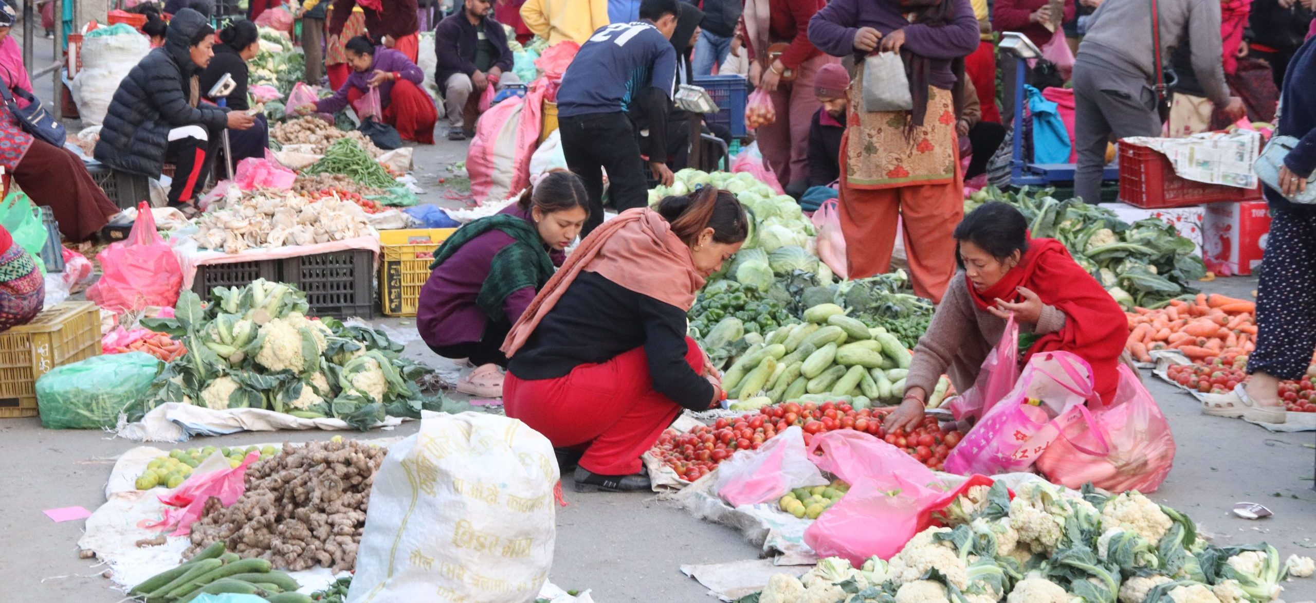 तीते करेला प्रतिकिलो १२०, अदुवा १००