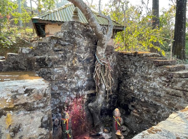 जहाँ देवीलाई चढाइन्छ दाम्लो