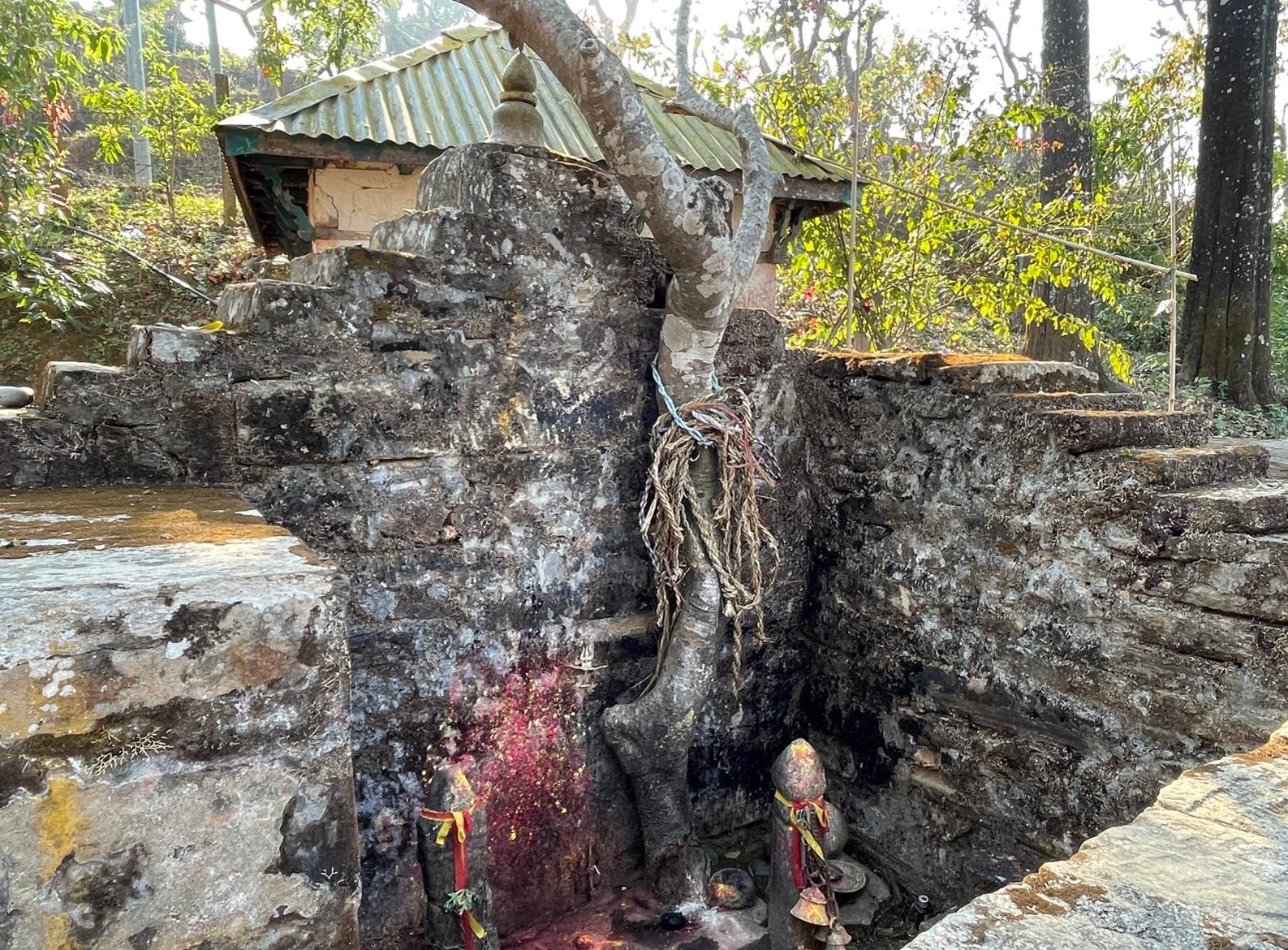 जहाँ देवीलाई चढाइन्छ दाम्लो