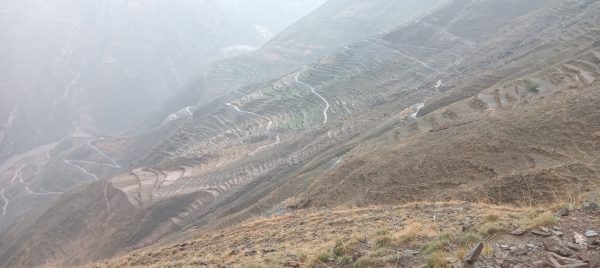 हुम्लामा पहिरो खस्दा भेडीगोठका २६ बाख्रा पुरिए