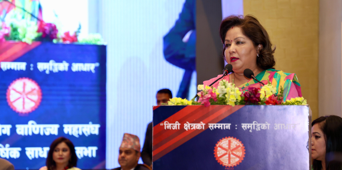 वैदेशिक लगानी भित्र्याउन आर्थिक कूटनीतिलाई बलियो बनायौँ : परराष्ट्रमन्त्री राणा