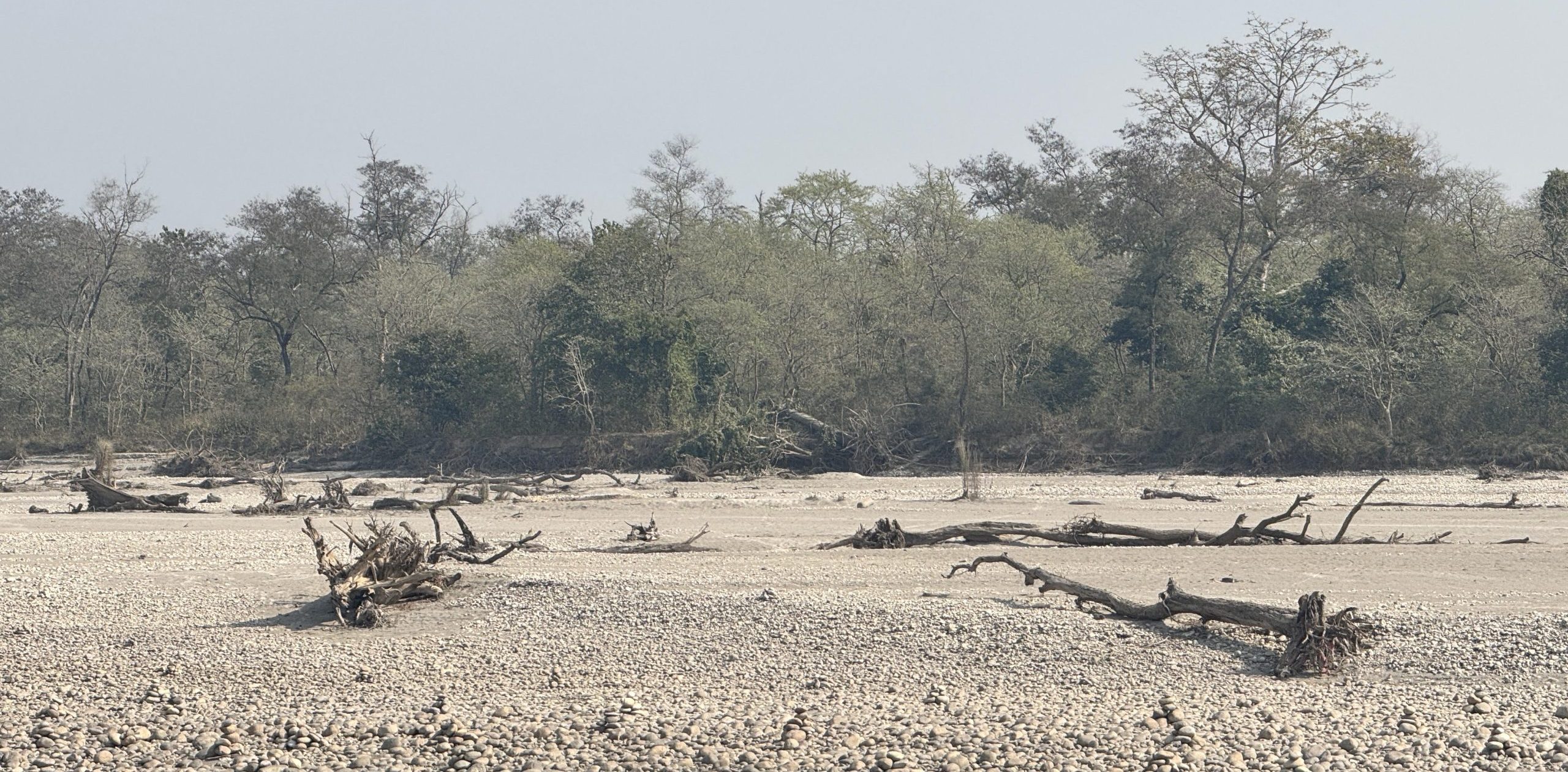 हरेक वर्ष कर्णाली हुँदै बगेर जान्छन् करोडौँका काठ