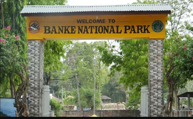बाँके राष्ट्रिय निकुञ्जमा जङ्गल सफारी सुरु
