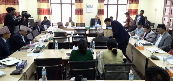 राजावादीको प्रदर्शनबारे जवाफ माग्न राज्यव्यवस्था समितिले बोलायो गृहमन्त्रीलाई