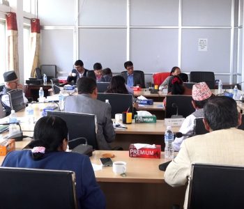 आज तीन संसदीय समितिको बैठक