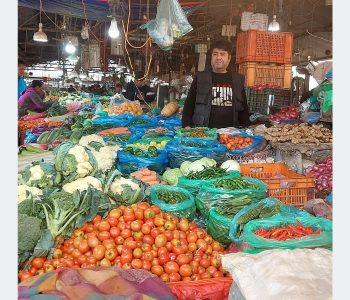 पालुङ्गो, चमसुर, मेथीको सागको मूल्य उच्च