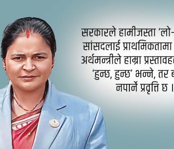शक्तिशालीको क्षेत्रमा शौचालयदेखि भ्यू टावरसम्म, हाम्रोमा आधारभूत योजना पार्नै मुस्किल