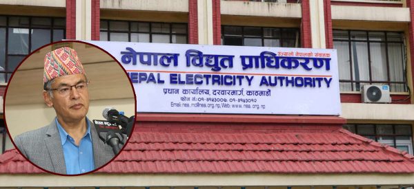 विद्युत् प्राधिकरणको श्वेतपत्र : यी हुन् १५ भावी योजना 