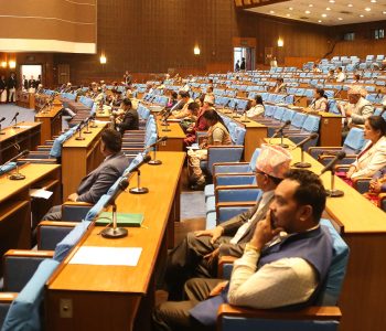 प्रतिनिधि सभाबाट सरकारको नीति तथा कार्यक्रम पारित