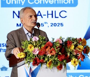 एनआरएनएलाई एकताबद्ध बनाएर अघि बढाऔं : डा भट्टराई