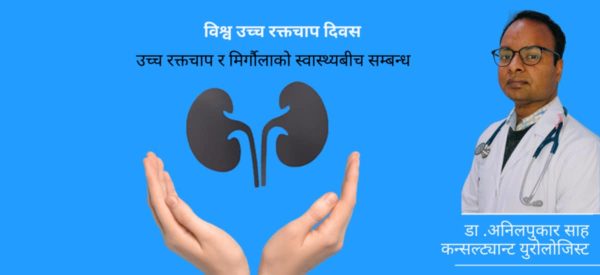 उच्च रक्तचाप र मिर्गौलाको स्वास्थ्यबीचको सम्बन्ध