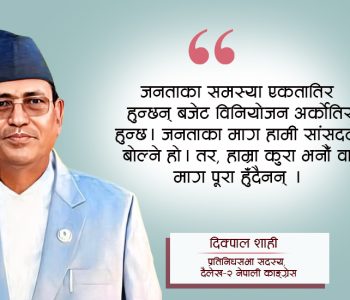 ‘बजेट निर्माणमा सांसदको भूमिका भएन’