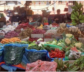 कालीमाटीमा किबी प्रतिकिलो ४६०, सजीवन ९० : अरुको मूल्य कति ?