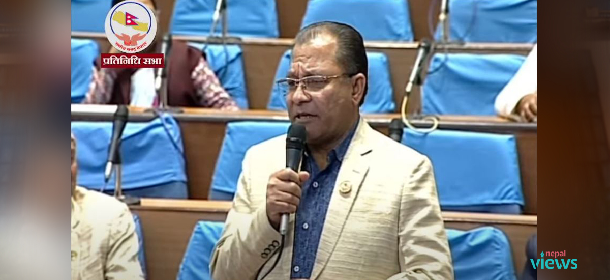 अमेरिकामा बाँदर निर्यातको पहल गर्न सांसदको माग