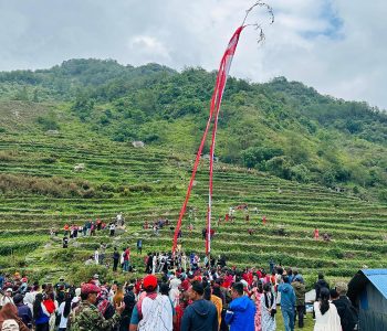 म्याग्दीमा भूमेपूजापछि ‘लिङ्गो जुधाउने’ अनौठो परम्परा