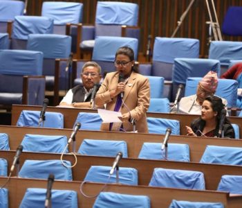अंग दान नपाएर ९० प्रतिशत मिर्गौला रोगीले ज्यान गुमाए : सांसद गौतम