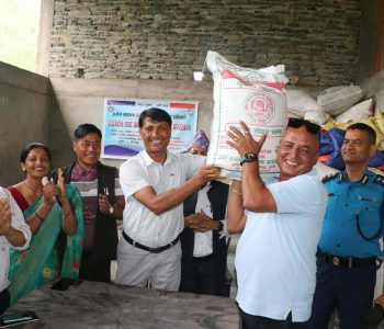 गुल्मिमा पहिलो पटक स्थानीय ‘धुर्कोटे चामल’ बजारमा