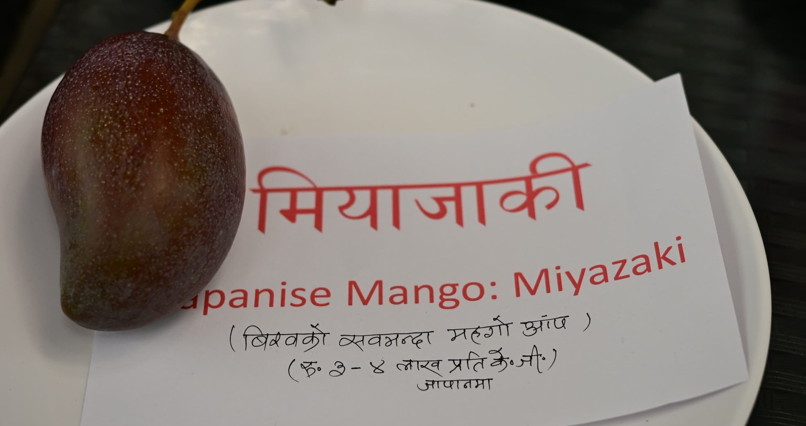 किलोकै ३ लाखभन्दा बढी पर्ने ‘ताईयो नो टोमागो’ आँप