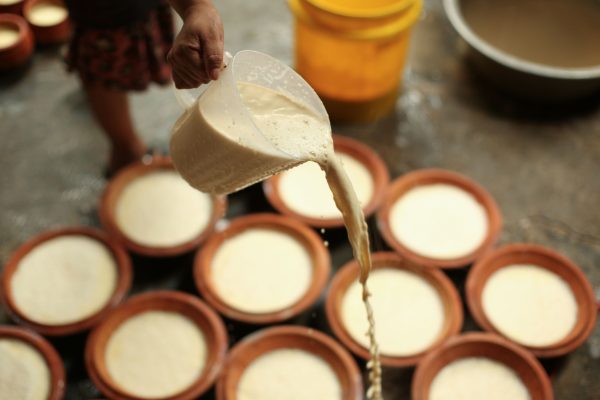 जुजु धौ बनाउन व्यस्त छन् व्यवसायी (तस्वीरहरू)