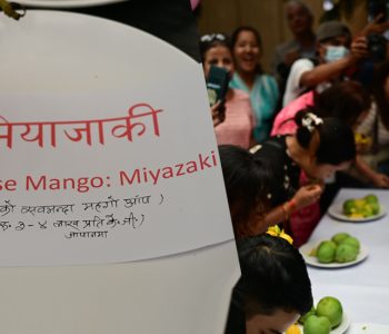 नेपाल म्याङ्गो फेस्ट : किलोकै ३ लाखभन्दा बढी पर्ने आँपसमेत प्रदर्शनीमा (तस्वीरहरू)