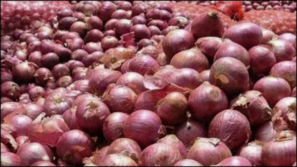 भारतीय बजारमा महँगियो प्याज, नेपालमा पनि मूल्य उकालो लाग्दै