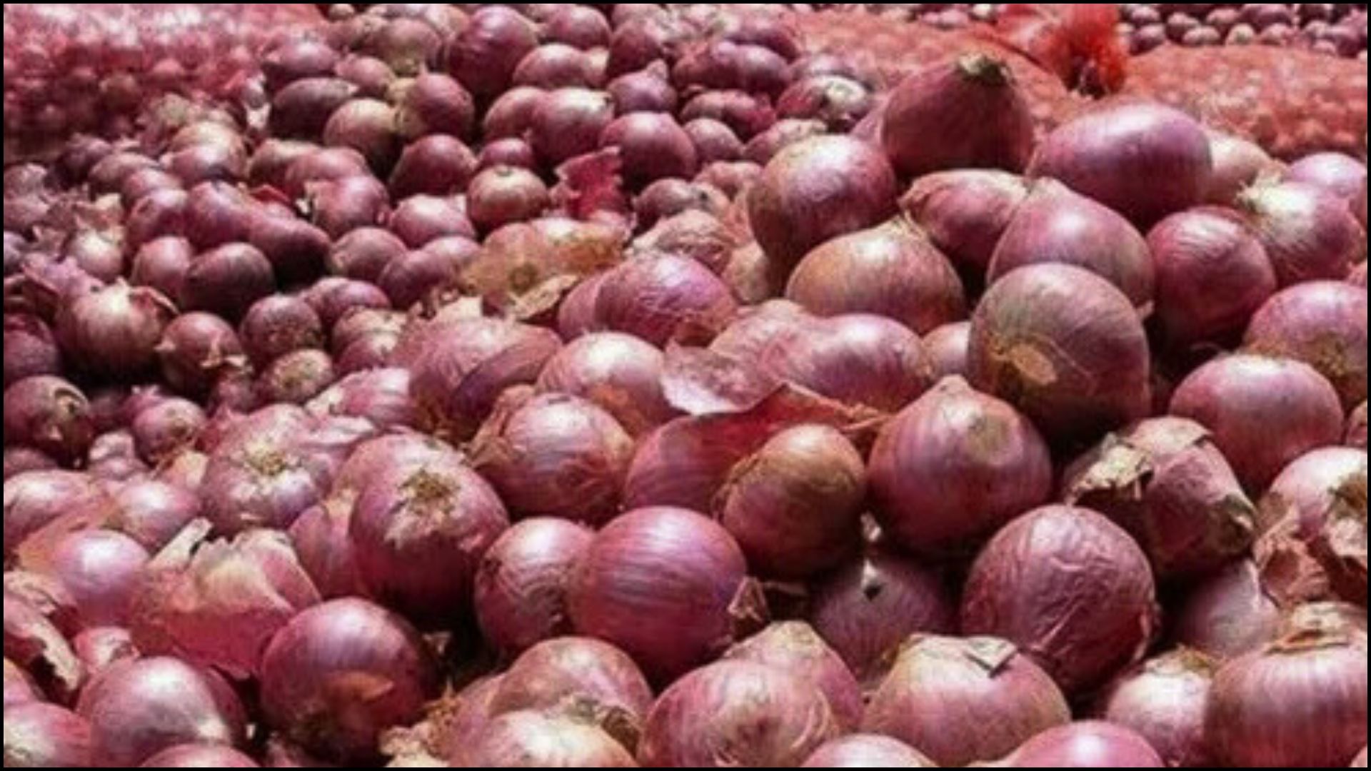 भारतीय बजारमा महँगियो प्याज, नेपालमा पनि मूल्य उकालो लाग्दै