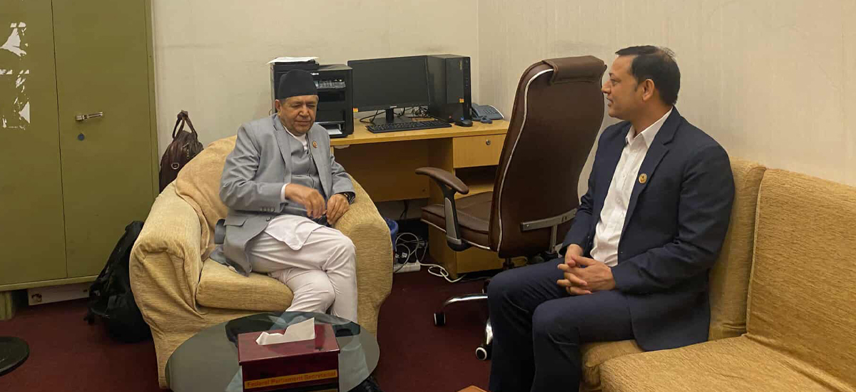 सभामुखले डीपी अर्याल र राजेन्द्र लिङ्देनसँग गरे छुट्टाछुट्टै छलफल