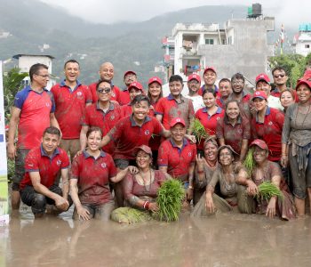 धान दिवसको अवसरमा ग्लोबल आइएमई बैंकले ल्यायो ‘धान खेती कर्जा’