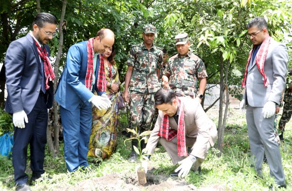 ग्लोबल आइएमई बैंकद्वारा बृहत् वृक्षारोपण कार्यक्रम आयोजना