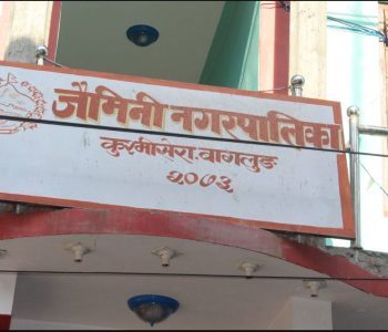 जैमिनी नगरपालिकाले बाँदर बगैँचाको काम थाल्ने
