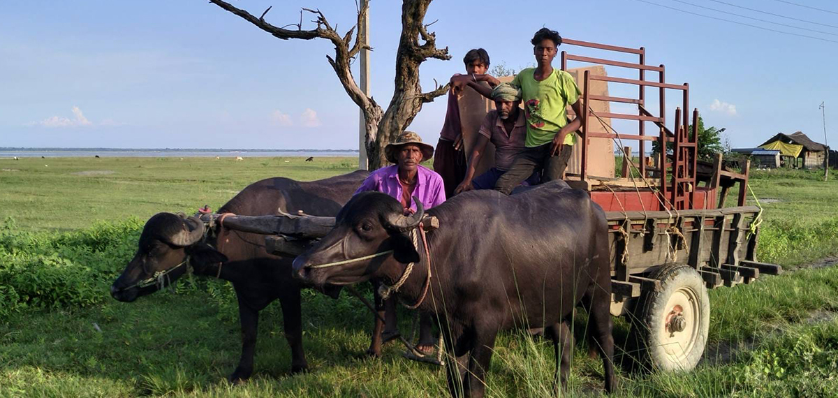 कोशीले जता लखेट्छ, उतै घर सार्न बाध्य